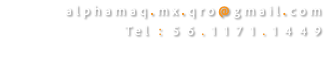 alphamaq.mx.qro@gmail.com
Tel : 56.1171.1449