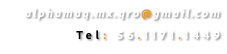 alphamaq.mx.qro@gmail.com
Tel: 56.1171.1449